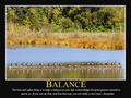 Balance