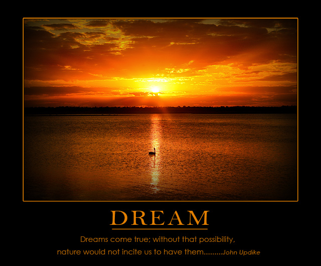 Dream