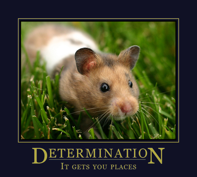 Determination