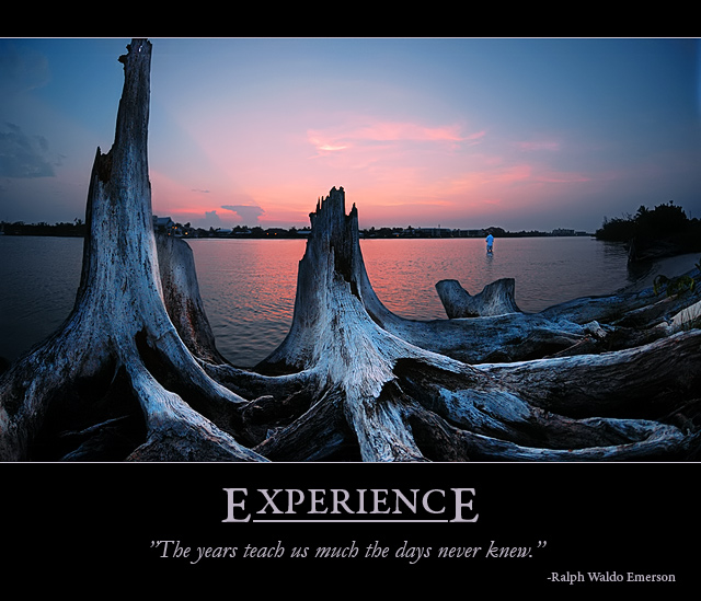 Experience