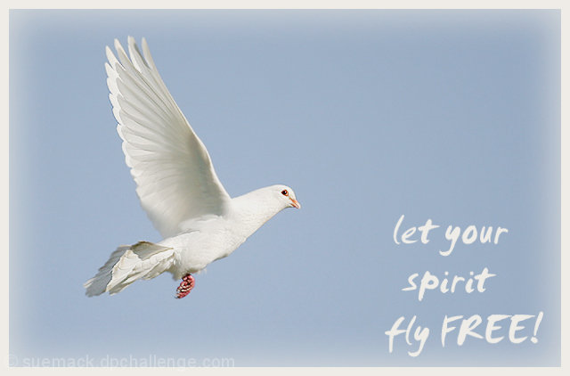 Let your spirit fly free