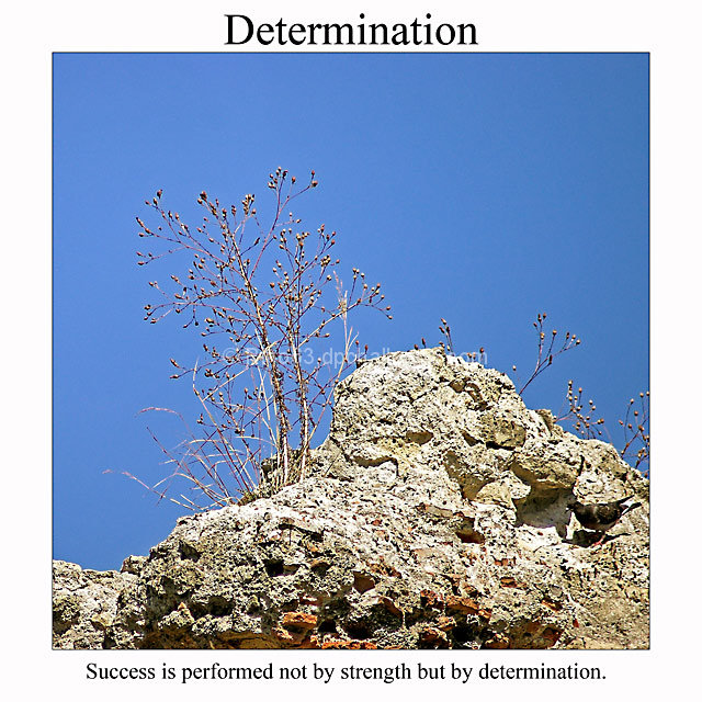 Determination-Success is performed not by strength but by determination.