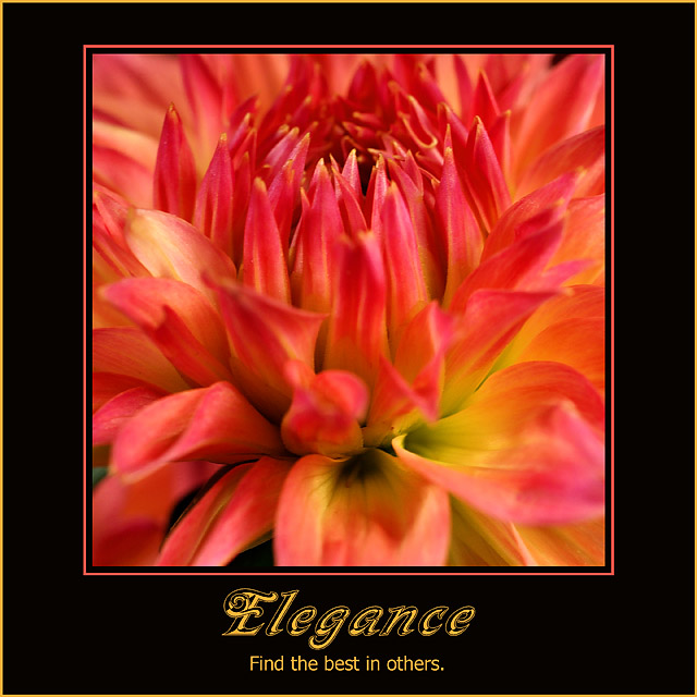 Elegance: Find the best in others