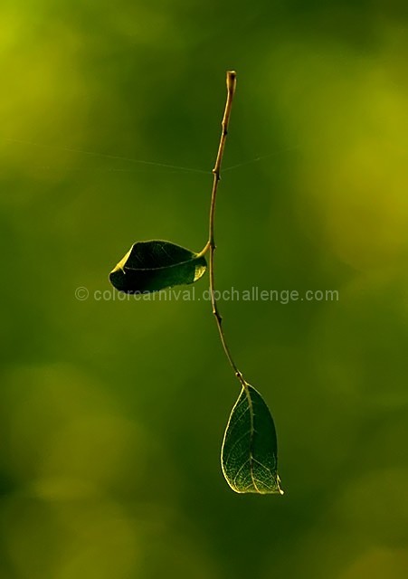 Natural Suspension
