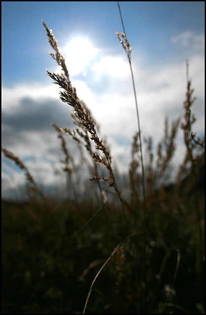 going against the grain...