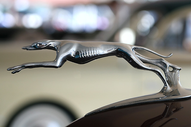 Vintage Hood Ornament