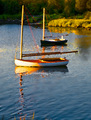 Boats at Rest