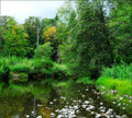 On a Sylvan Pond