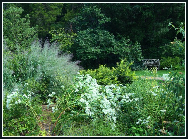 Inviting Garden Bench