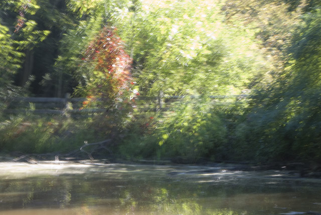 Pond at Chagrin