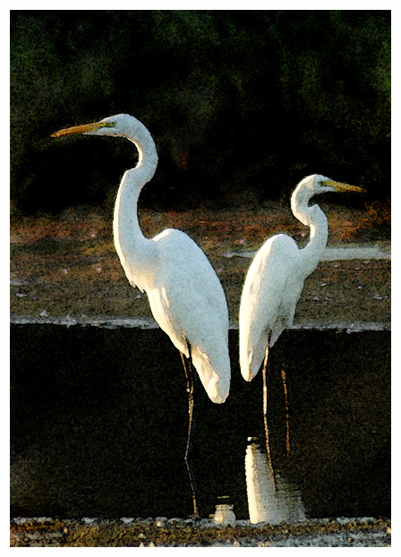 The River's Sentinels