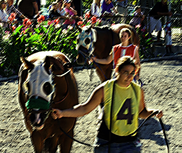 The Parade Of Horses