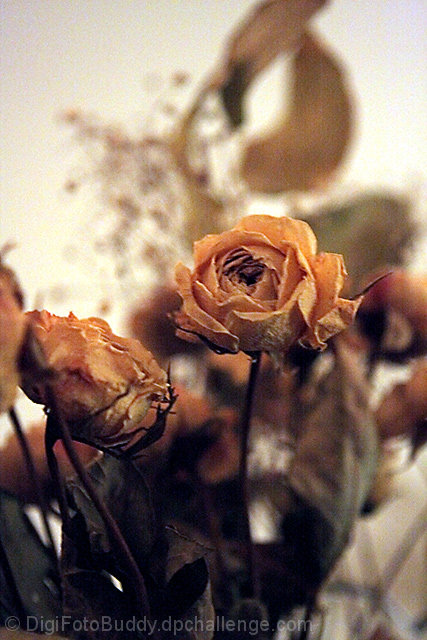 Painting Flowers