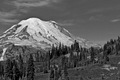 Mt. Rainier from Chinook Pass