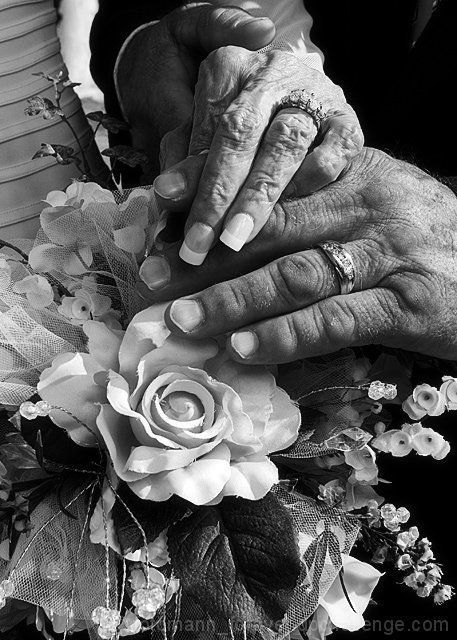 Old Hands, New Life