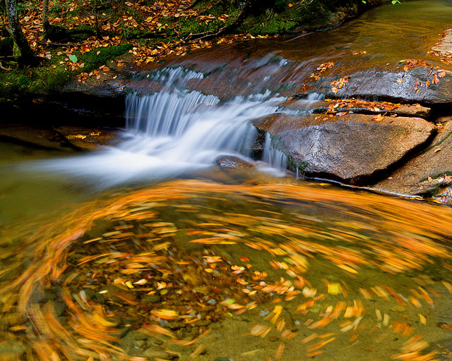 Autumnal Stream