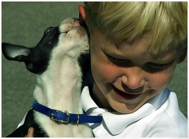 Puppy Love