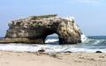 Natural Bridges, Santa Cruz CA