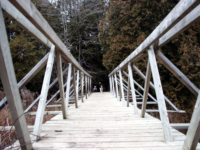 Bridge perspective