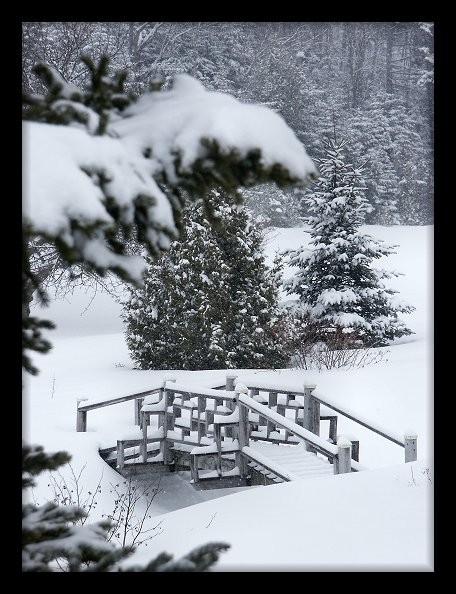 Snow Bridge