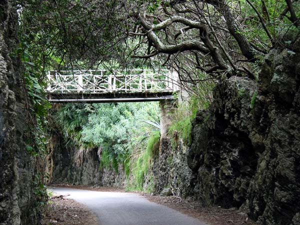 Deserted bridge