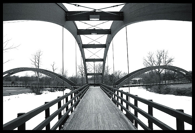 The Tridge