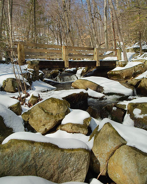 Trout Brook Bridge