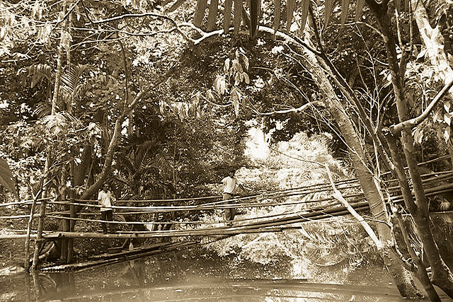 Bamboo Bridge... help people get cross the river
