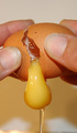 opening an egg
