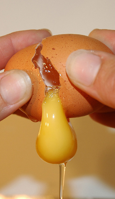 opening an egg