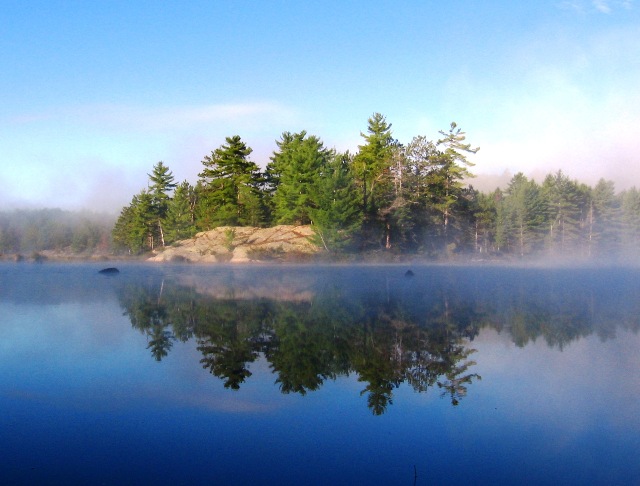 The wealth of earth's natural beauty