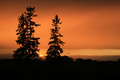 Queensville Sunset