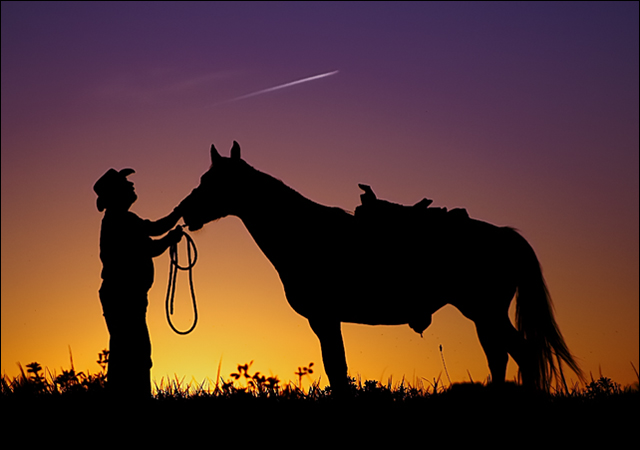 The Cowboy