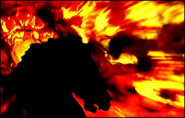 Pheonix Horse