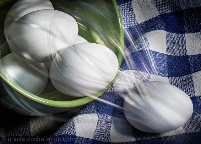 Still Life with Whisk