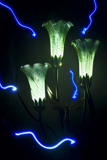 Fireflies