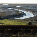 marsh