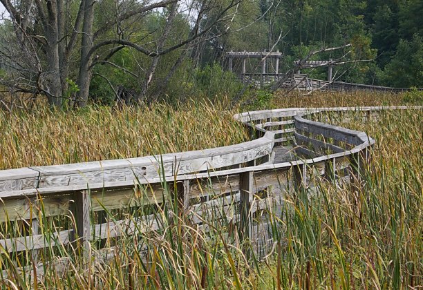 autumn nature reserve