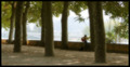 Soft music By the River