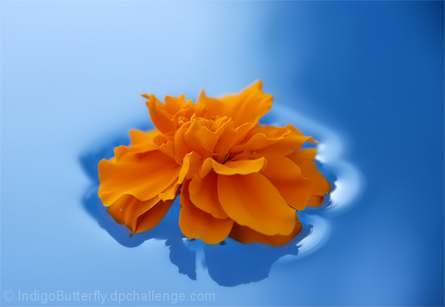 floating