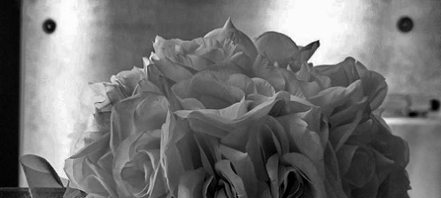 mysterious flower composition from barcelona market