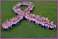 Pink Ribbon - Walk to End Breast Cancer