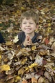Buried in leaves