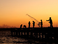 Shrimping at Sunset