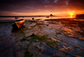 Dawn's Early Light