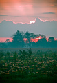 Squash at Sunrise