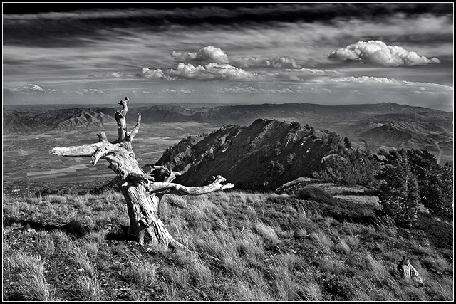 View From the Peak
