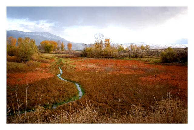 Field of Fire