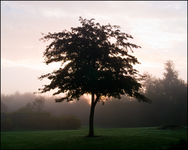 Standing alone