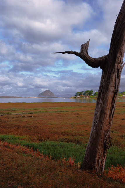 Bay View 